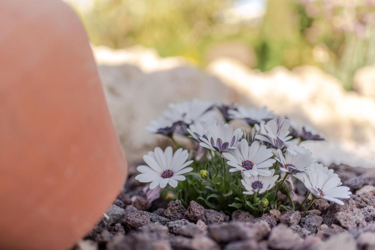 Casa Rural Cortijo Rizao Nigüelas エクステリア 写真